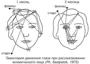 Траектория движения глаза при рассматривании человеческого лица (Ph. Saalpatek, 1975)