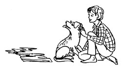 Рис. С. Пахомова